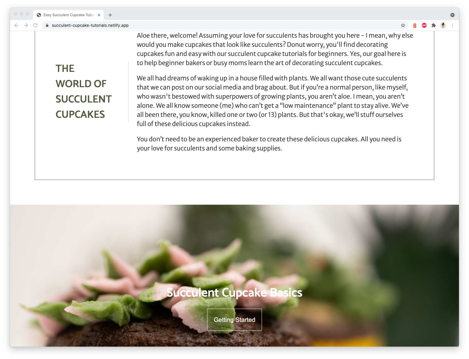 Succulent Cupcake Tutorials